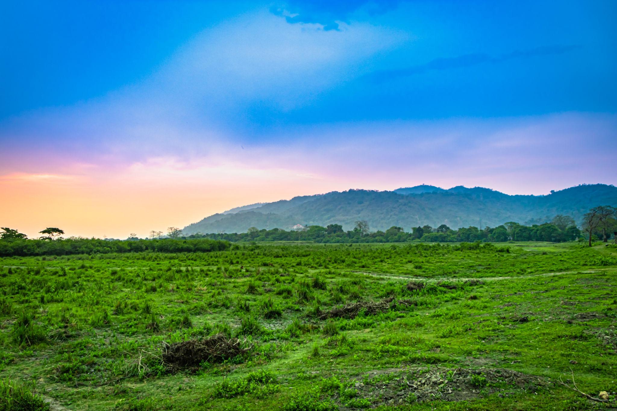 Kaziranga National Park landscape, Assam